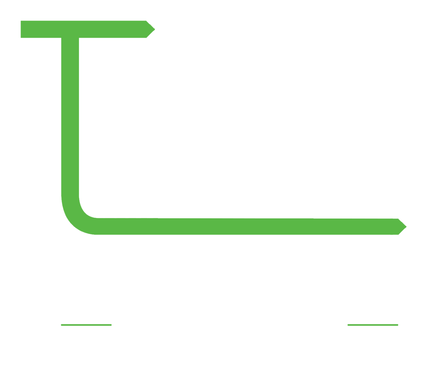 Team Line Solutions — Project Management · Project Control
