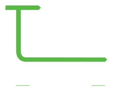 Team Line Solutions — Project Management · Project Control